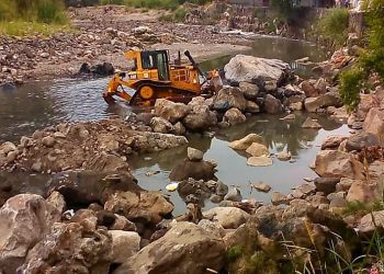 Preparan un proyecto de arborización en el Acelhuate