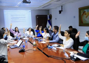 Comisión de Familia recibirá a representantes de Save the Children y Proyecto Red para seguir el estudio de la ley Crecer Juntos