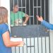 El Instituto de Bienestar Animal registra hasta 13 denuncias cada día