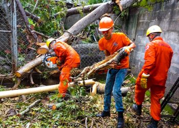 560 elementos del Equipo Táctico brindan asistencia