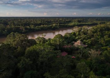 La selva del Valle de Javarí, una de las más densas del planeta