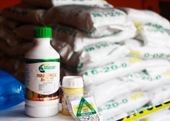 El Ministerio de Agricultura ha entregado 400,000 paquetes agrícolas a productores
