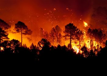 Oleada de incendios forestales se reportan en España por altas temperaturas