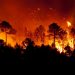 Oleada de incendios forestales se reportan en España por altas temperaturas