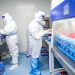 La variante BA.5 de ómicron genera incremento de casos a escala mundial