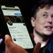 Elon Musk pone fin al acuerdo de compra de Twitter