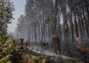 Europa occidental lucha contra incendios y se alista para temperaturas récord