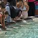 Impactantes imágenes de europeos buscando como refrescarse ante la ola de calor