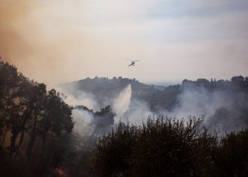 España registra 500 muertes por ola de calor que avivó incendios en Europa occidental