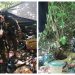 Pandilleros fueron entrenados por exguerrilleros para emboscar y asesinar a policías y soldados