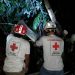 Cruz Roja Internacional alerta de fraude en su nombre