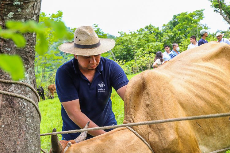 Fotos / Diario El Salvador.
