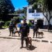 Policía Nacional Civil refuerza su Unidad Canina