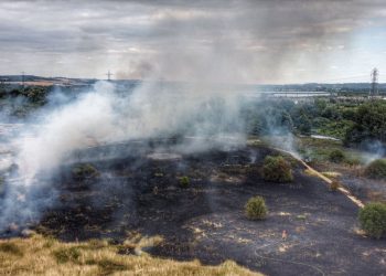 Londres lucha contra varios incendios debidos a las altas temperaturas