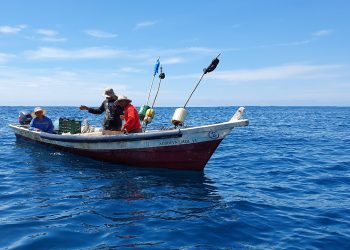 Reformas facilitarán carnetizacion de pescadores