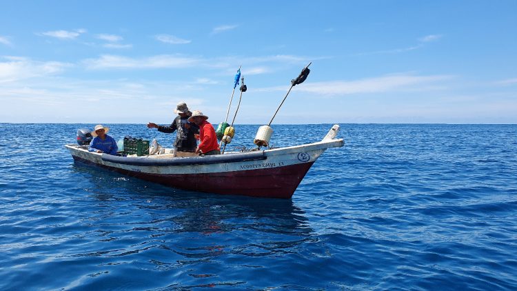 Beneficios. Miles de pescadores podrán tramitar su carné ante Cendepesca.