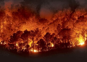 Alaska experimenta incendios forestales como nunca antes