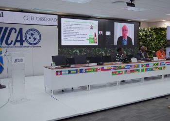 Las Américas y África deben buscar un entendimiento sobre su rol en el sostenimiento de la seguridad alimentaria del mundo, afirman expertos