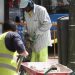 Nueva ley en España facilita contratar inmigrantes y obtener permiso de trabajo, residencia