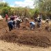 El Salvador apuesta por la producción de abono orgánico bocashi