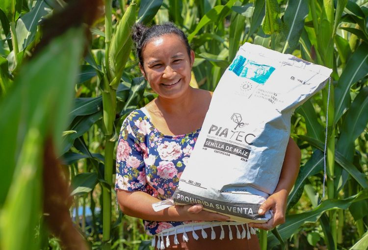 El MAG entrega paquetes agrícolas más robustos este año, con los que se prevé mejorar la producción.
