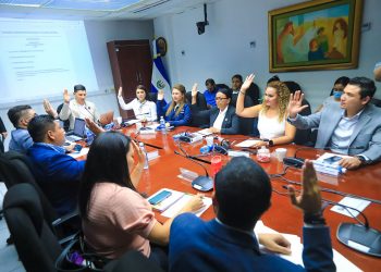 La comisión de Reformas Electorales y Constitucionales recibirá más aportes para voto desde el exterior