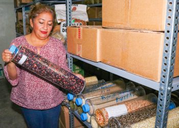 El Centa cuenta con un banco de más 300 semillas