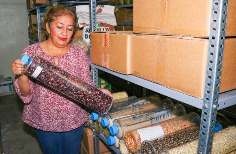 El Banco de Germoplasma está ubicado en la Estación Experimental San Andrés, en Cuidad Arce, La Libertad. Foto / Diario El Salvador.
