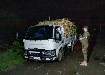 Fuerza Armada intensifica patrullajes en puntos ciegos para combatir contrabando de ganado y mercadería