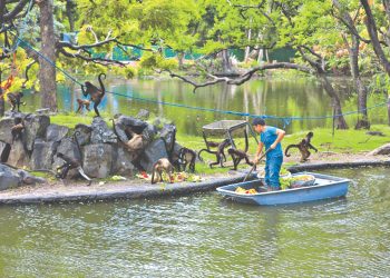 Animales del exzoológico tendrán un expediente individual digitalizado