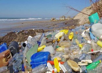 El 99% de los residuos recogidos en Galápagos proviene de Latinoamérica y Asia