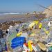 El 99% de los residuos recogidos en Galápagos proviene de Latinoamérica y Asia