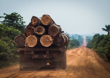 Deforestación en Brasil aumentó 20.1% en 2021, según estudio