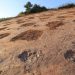 Más de 4,300 huellas de dinosaurio fueron descubiertas en Hebei, China