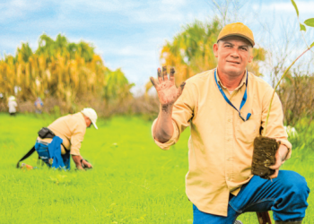 380,000 árboles han sido sembrados para reforestar El Salvador