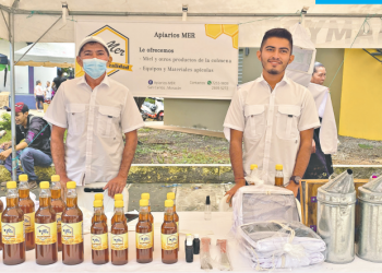 Familia tiene dos décadas de dedicarse a la apicultura en San Carlos, Morazán
