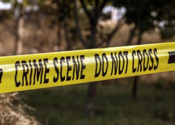 Mueren tres personas en tiroteo en parque estatal en Iowa, Estados Unidos