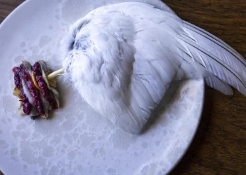 El restaurante galardonado más septentrional del mundo se encuentra en Groenlandia