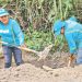 La Dirección de Obras Municipales le ha permitido a salvadoreña poder mantener a su hijo