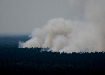 Incendio en un bosque de Berlín tras la explosión de un depósito de munición