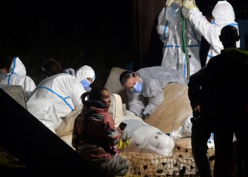 Todo resultó inútil y la beluga extraviada en el río Sena tuvo que ser sacrificada