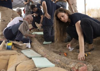 Descubren en Israel colmillo de elefante de 500,000 años