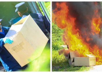 Destruyen más de 29,000 kilos de droga incautada en diversos operativos policiales