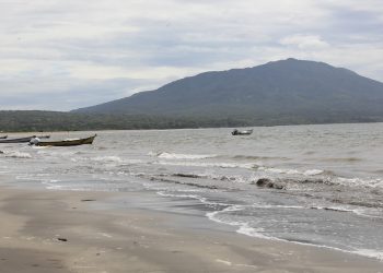 Las costas de La Unión no dejan de sorprender