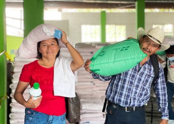 Ministerio de Agricultura y Ganadería ha entregado más de 500 mil paquetes agrícolas&nbsp;a productores salvadoreños&nbsp;