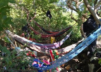 Localizan campamento clandestino de pandillas en Apastepeque