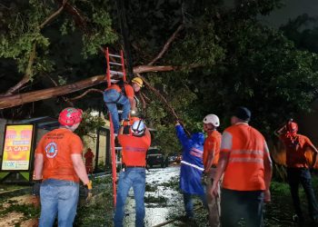 Más de 50 viviendas fueron afectadas por lluvias de las últimas horas en El Salvador