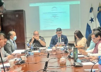 Asociaciones de salvadoreños en el exterior brindan sus aportes para mecanismo de elección en 2024