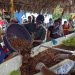 El coctel de más de 15,000 conchas en Puerto El Triunfo, Usulután