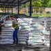 Ministerio de Agricultura entrega paquetes agrícolas en San Miguel y Usulután
